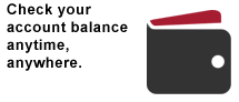 Check Your Balance